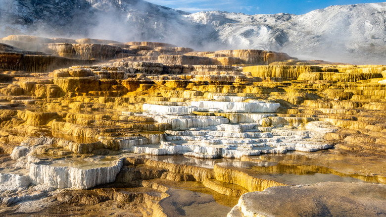 Travertine terraces at Mammoth Hot Springs