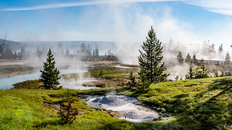 Thumb Geyser and Yellowstone Lake in Yellowstone National Park