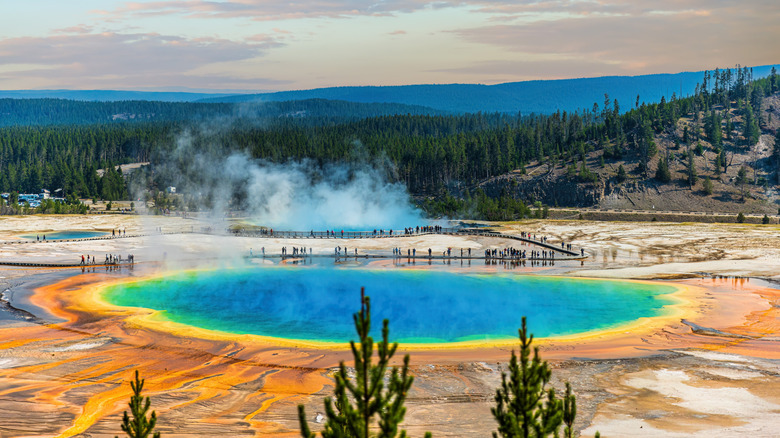 A view from above the Grand Prismatic Spring
