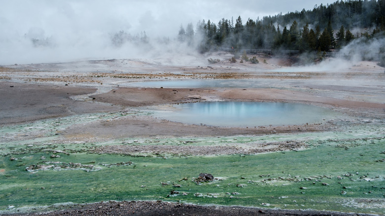 Colorful hot springs and stream in the Porcelain Basin or Norris Geyser Basin