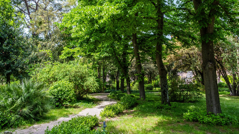 A pathway and trees in Vladimir Nazor Park