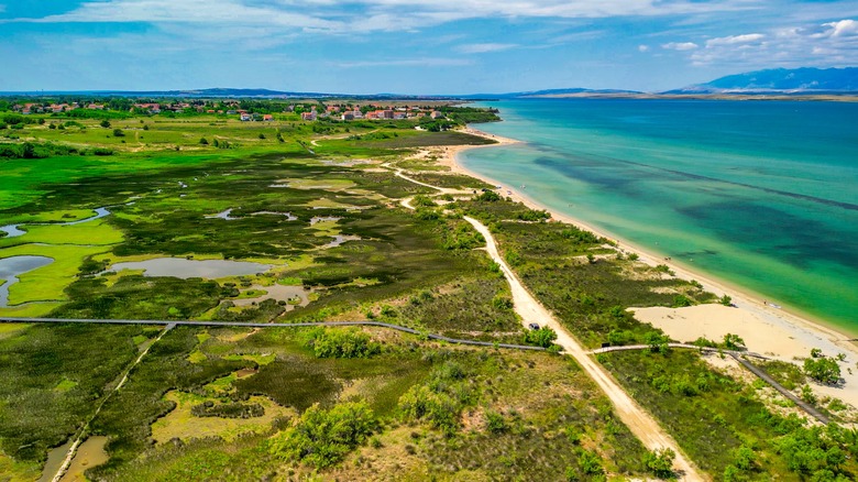 aerial view of the lush local vegetation and beach