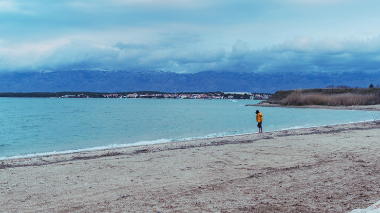 a person standing near the water on a sandy beach on a cloudy day