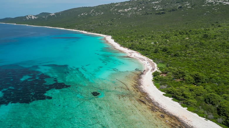 aerial view of Sakarun beach with water sand and sloping forest