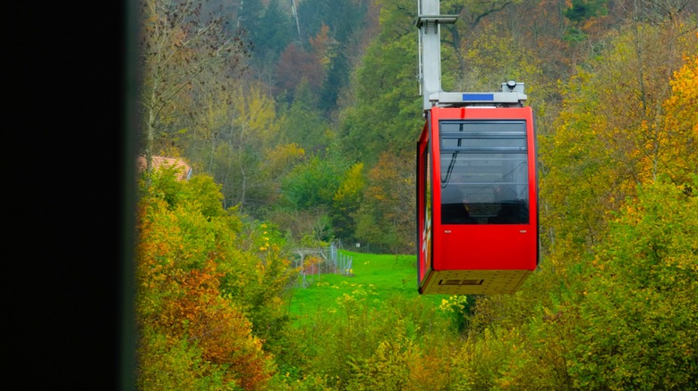 Red Felsenegg Cable Car over lush green and autumn trees near Zurich