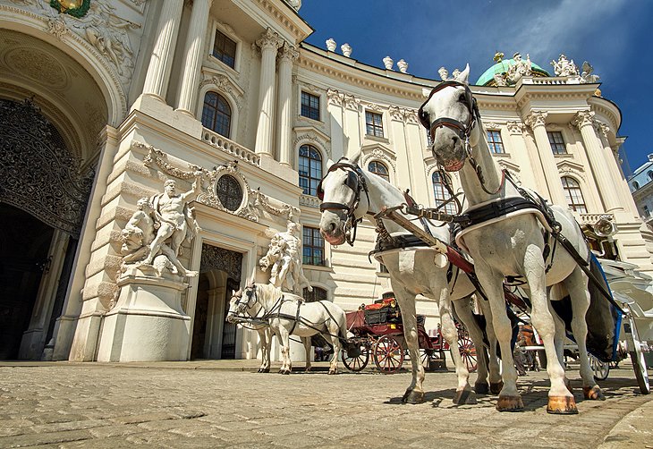 Horse and carriage in Vienna