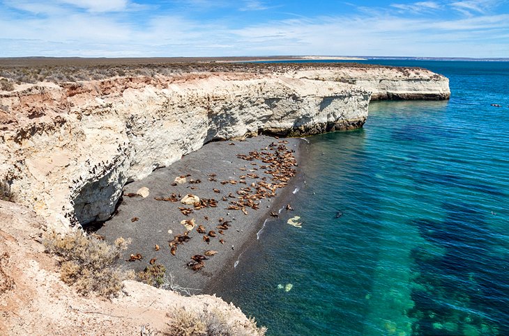 Puerto Madryn and the Valdés Peninsula