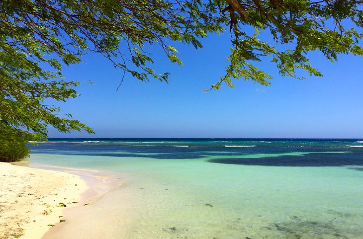 11 mejores playas de Aruba