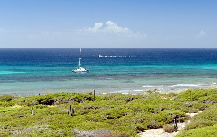 11 mejores playas de Aruba