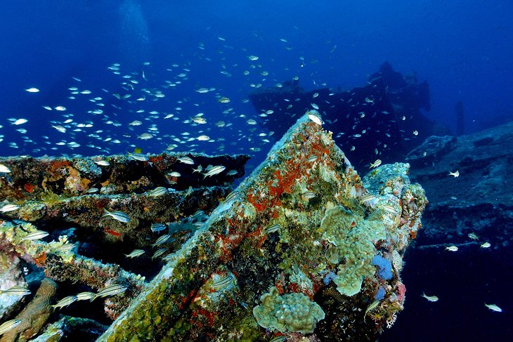 Antilla wreck