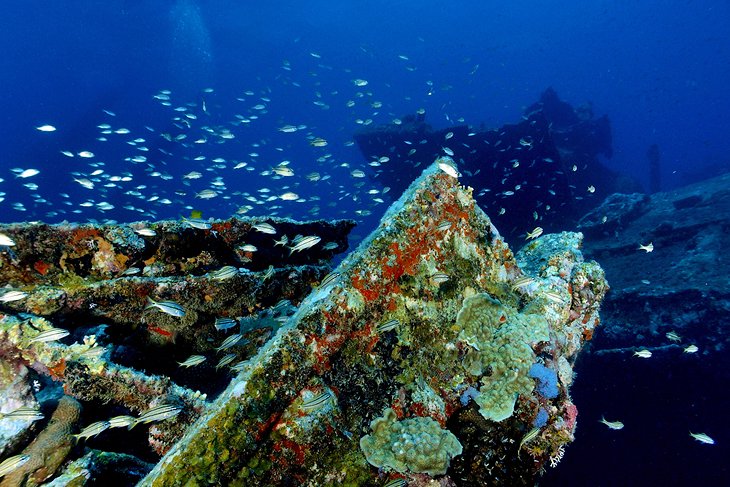 11 tours y excursiones mejor calificados en Aruba 11 tours y excursiones mejor calificados en Aruba