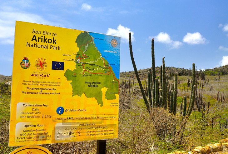 11 tours y excursiones mejor calificados en Aruba 11 tours y excursiones mejor calificados en Aruba