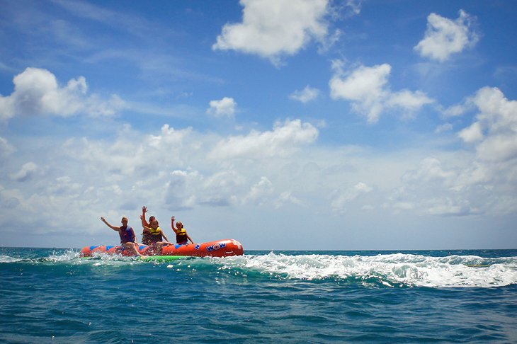 11 tours y excursiones mejor calificados en Aruba