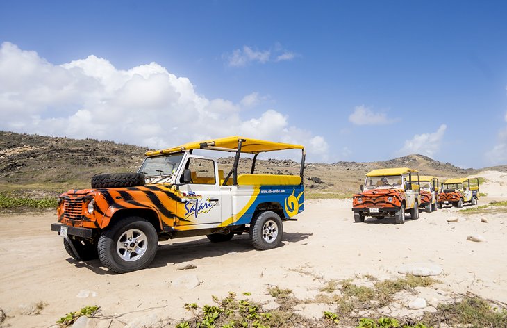 11 tours y excursiones mejor calificados en Aruba