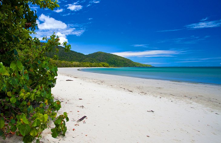 Cape Tribulation, Queensland