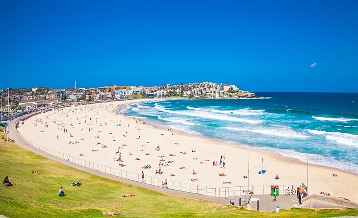 Bondi Beach