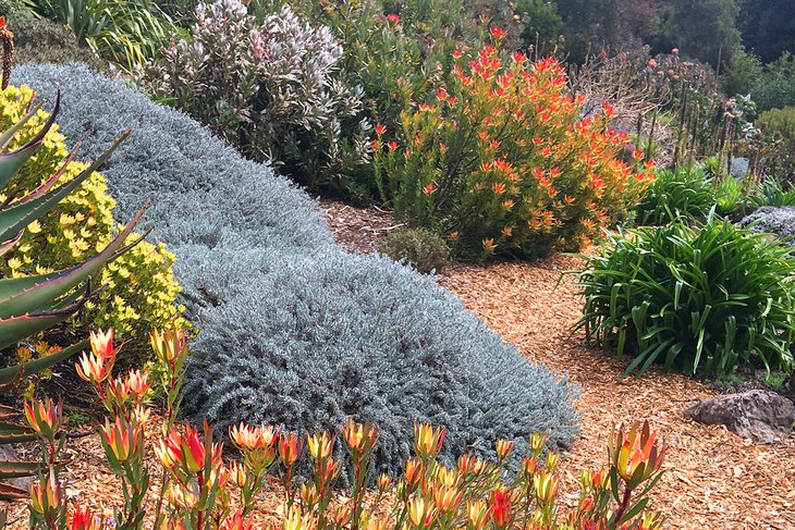 The Blue Mountains Botanic Garden