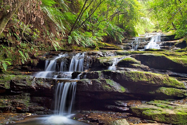 Leura Cascades