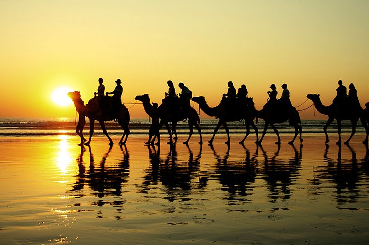 Sunset camel ride on Cable Beach
