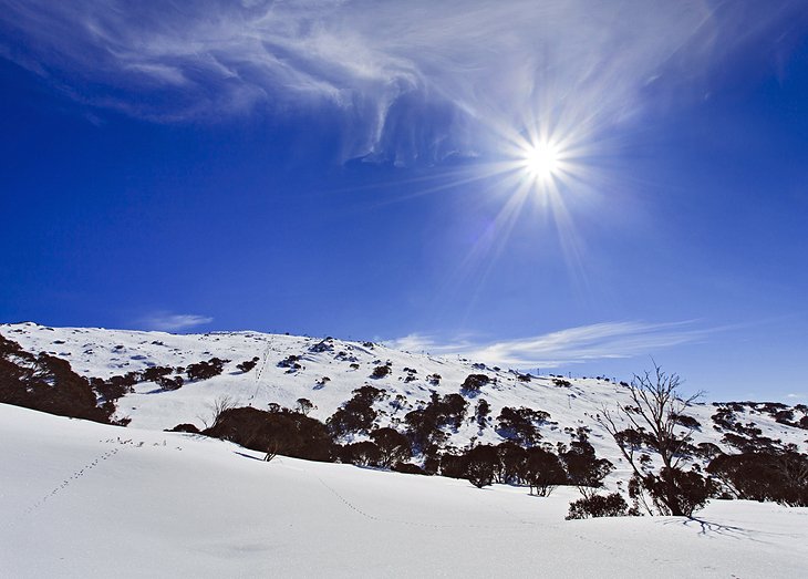 Snowy Mountains