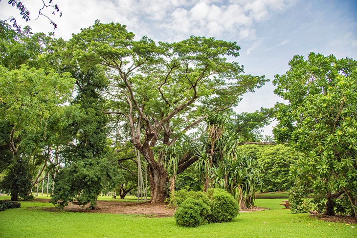 The George Brown Darwin Botanic Gardens