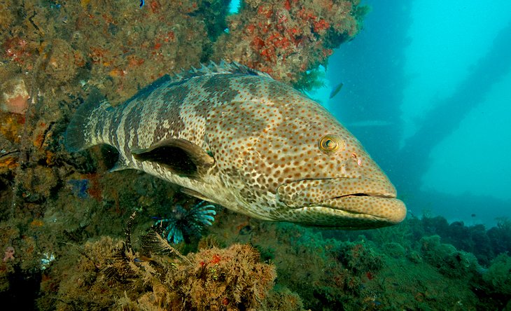 Exmouth, Western Australia