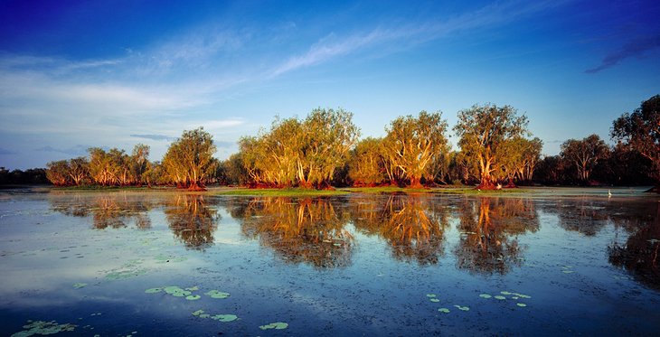 Yellow Water Billabong, Kakadu National Park