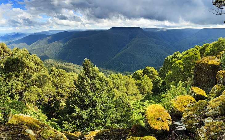 Barrington Tops National Park