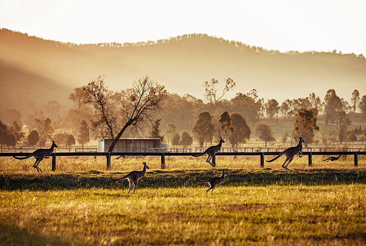 Hunter Valley