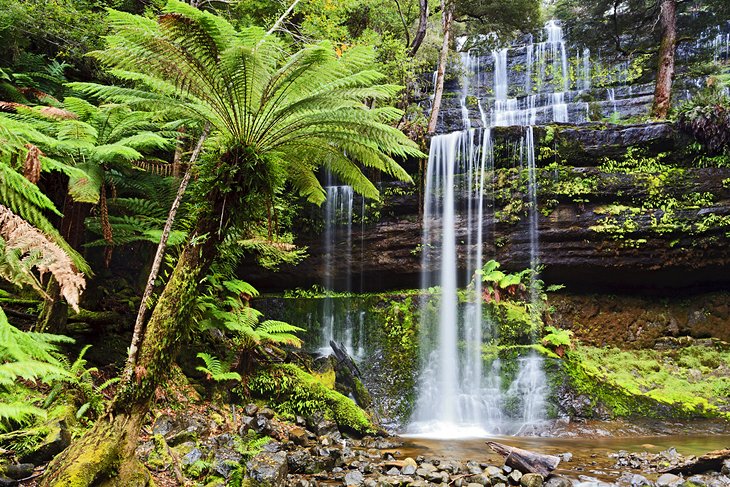 Mount Field National Park