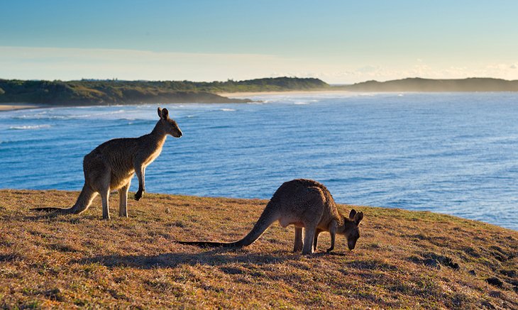 Coffs Harbour