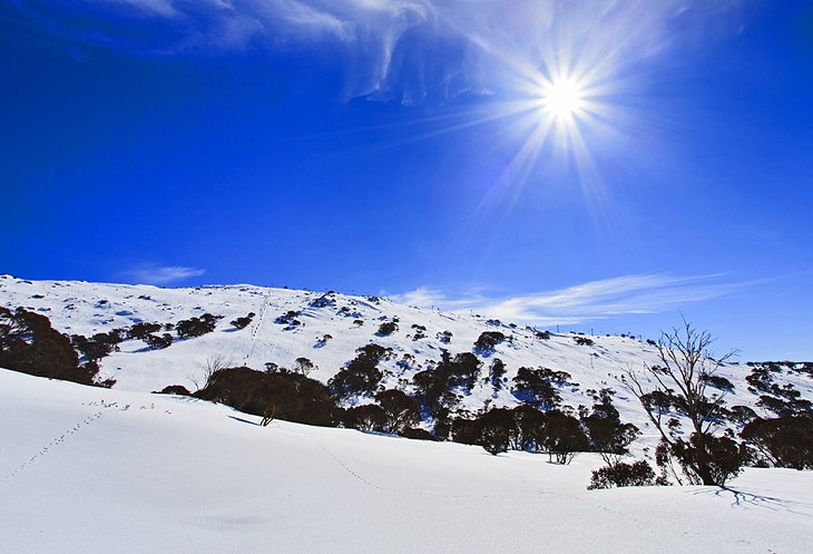 Snowy Mountains