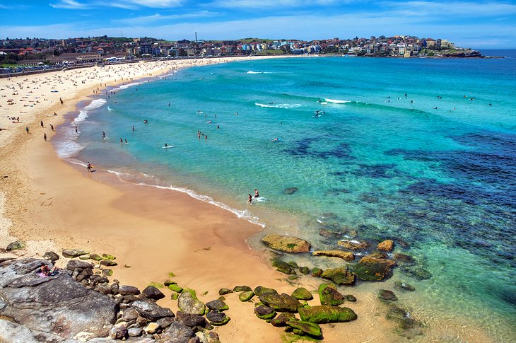 Bondi Beach