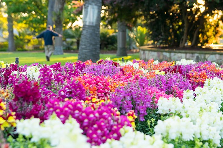 Hunt for Treasure at the Brisbane Botanic Gardens Mount Coot-tha