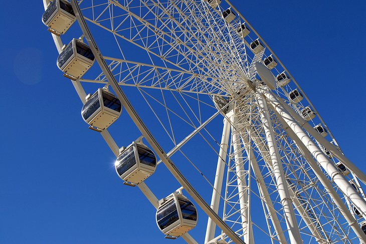 Ride the Wheel of Brisbane