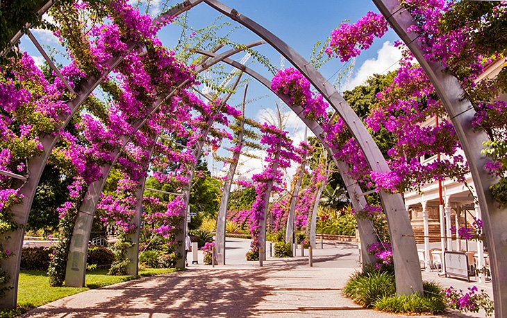 Arched walkway in spring through South Bank