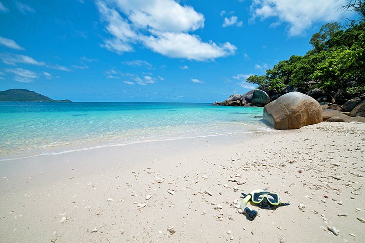 Day Trip to Fitzroy Island