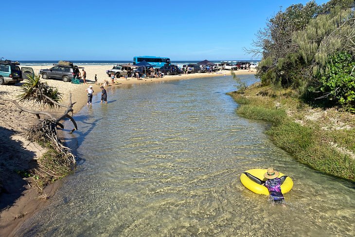 11 atracciones y cosas para hacer mejor valoradas en Fraser Island