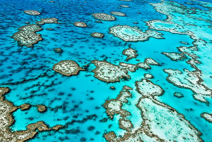 Great Barrier Reef Marine Park