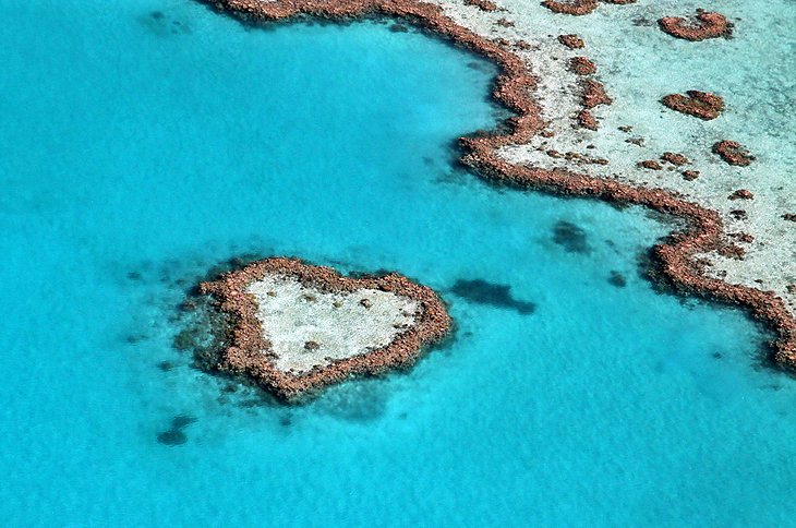 Visitando la Gran Barrera de Coral: 11 atracciones y cosas para hacer mejor calificadas