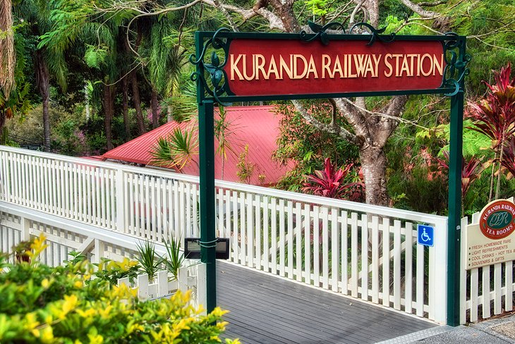 Day Trip to Kuranda