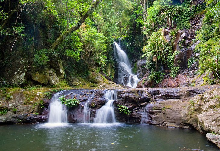 Lamington National Park