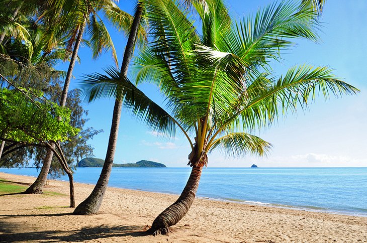 Palm Cove