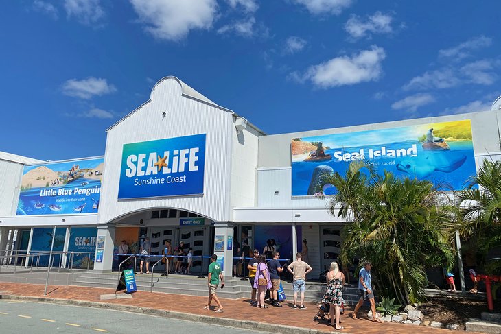 Underwater World Sea Life, Mooloolaba