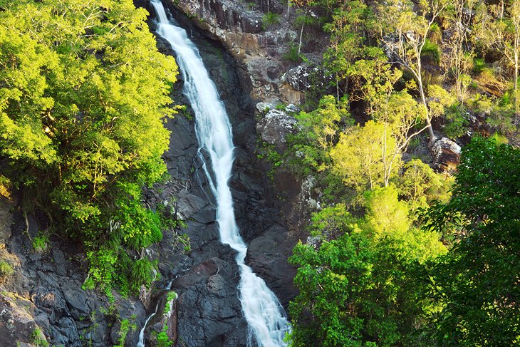 Kondalilla Falls