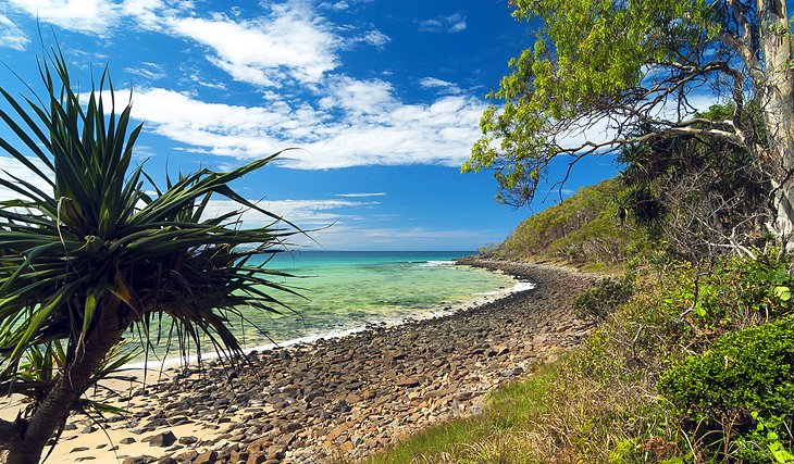 tourist parks sunshine coast