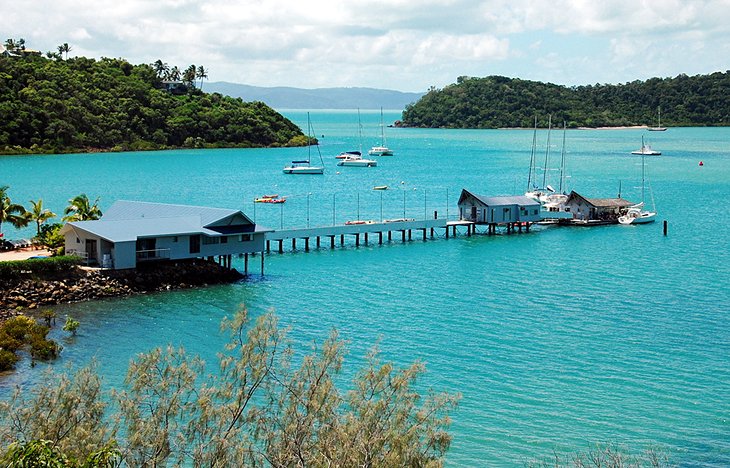 Shute Harbour