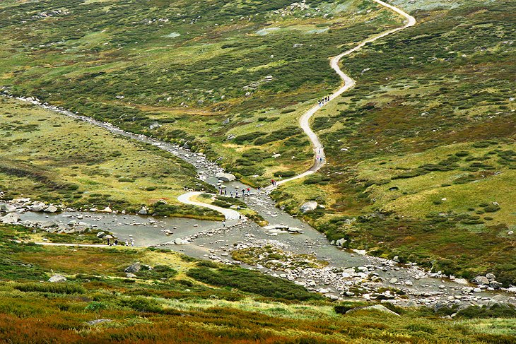 Charlotte Pass