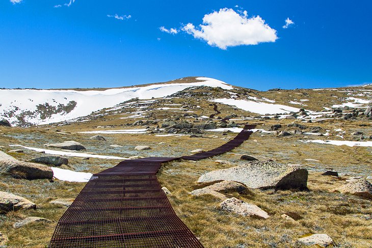 Walking track to Mount Kosciuszko