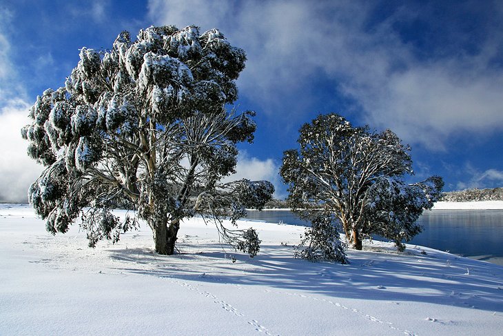 Kosciuszko National Park